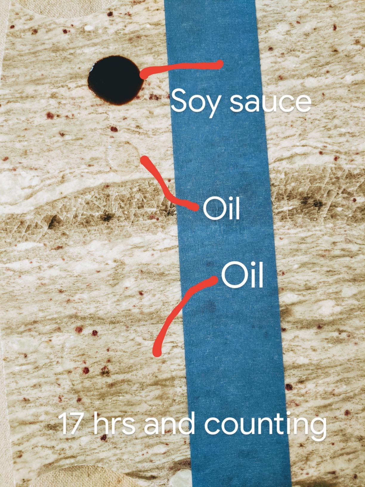 Tenax Proseal Stone Sealer - Professional Sealer for Granite, Marble, Quartzite & Engineered Stone - Long-Lasting Stain & Water Protection for Countertops, Tile, Indoor & Outdoor customer photo 2