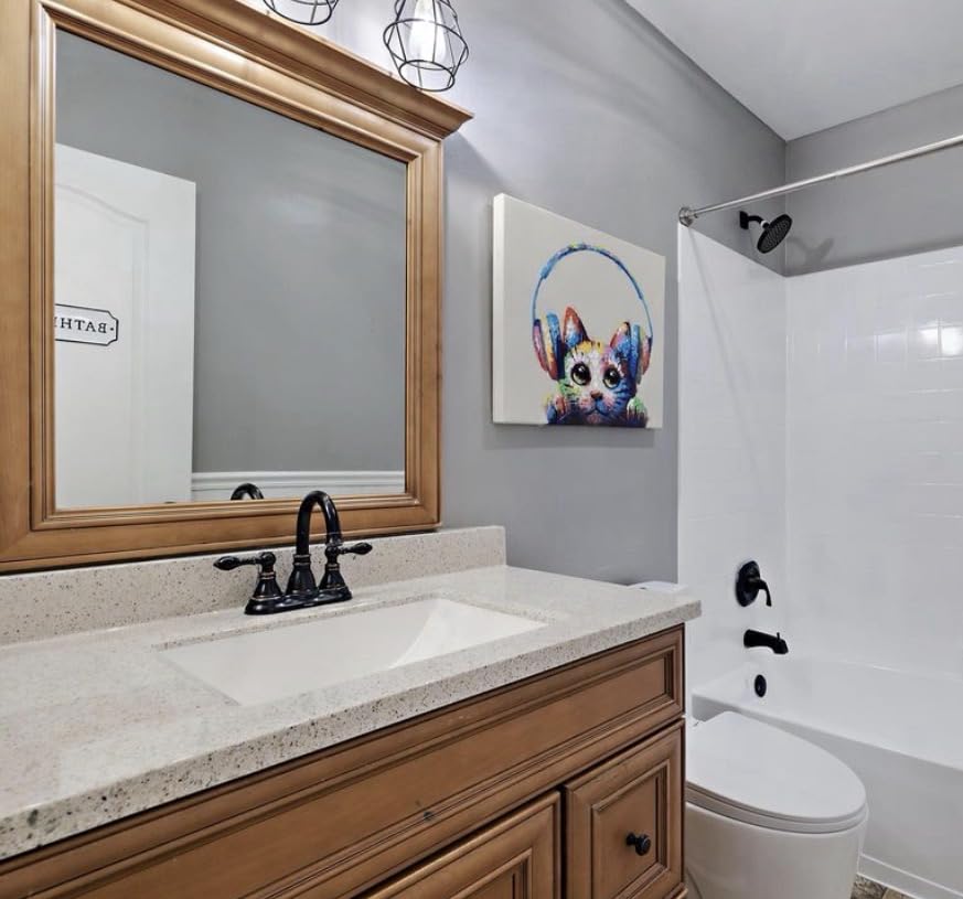 St. Tropez Comfort Height One-Piece Elongated Toilet, Vortex Dual-Flush 1.1/1.6 GPF, White Hardware customer photo 1
