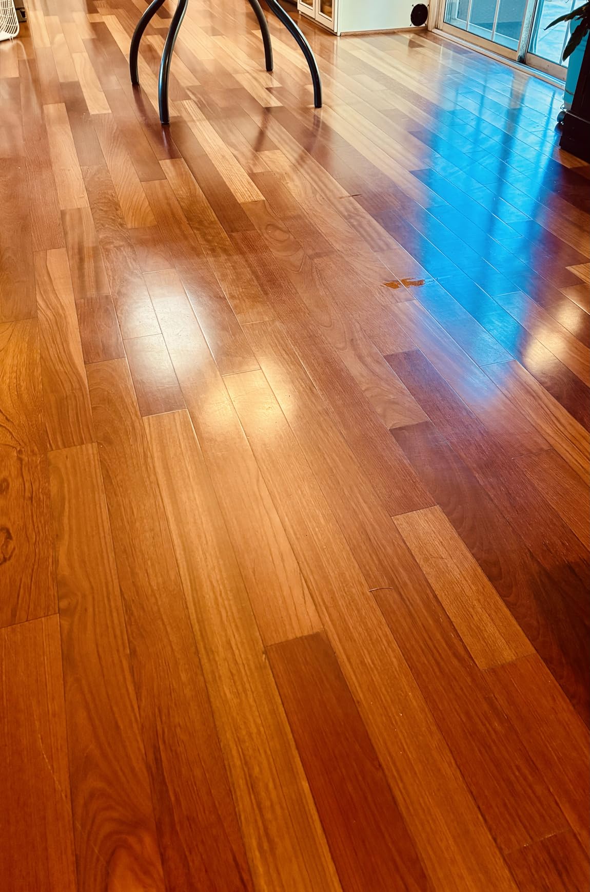 Bissell SpinWave Hard Floor Expert Corded Spin Mop Cleaner with Washable mop Pads for Sealed Hard Floors, 20393 customer photo 1