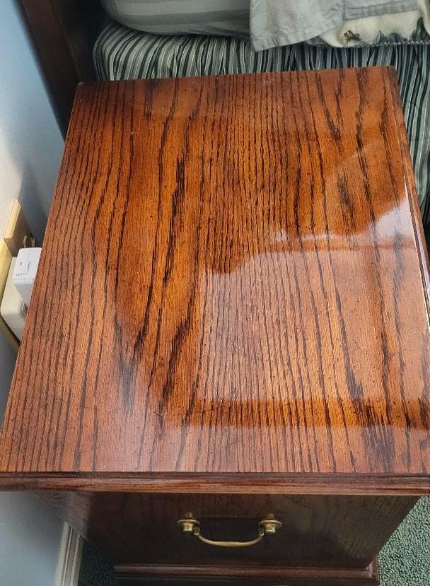 TERLANS Blonde Shellac Liquid, 8.4 fl oz (250 ml) - Natural Wood & Instrument Finish customer photo 1