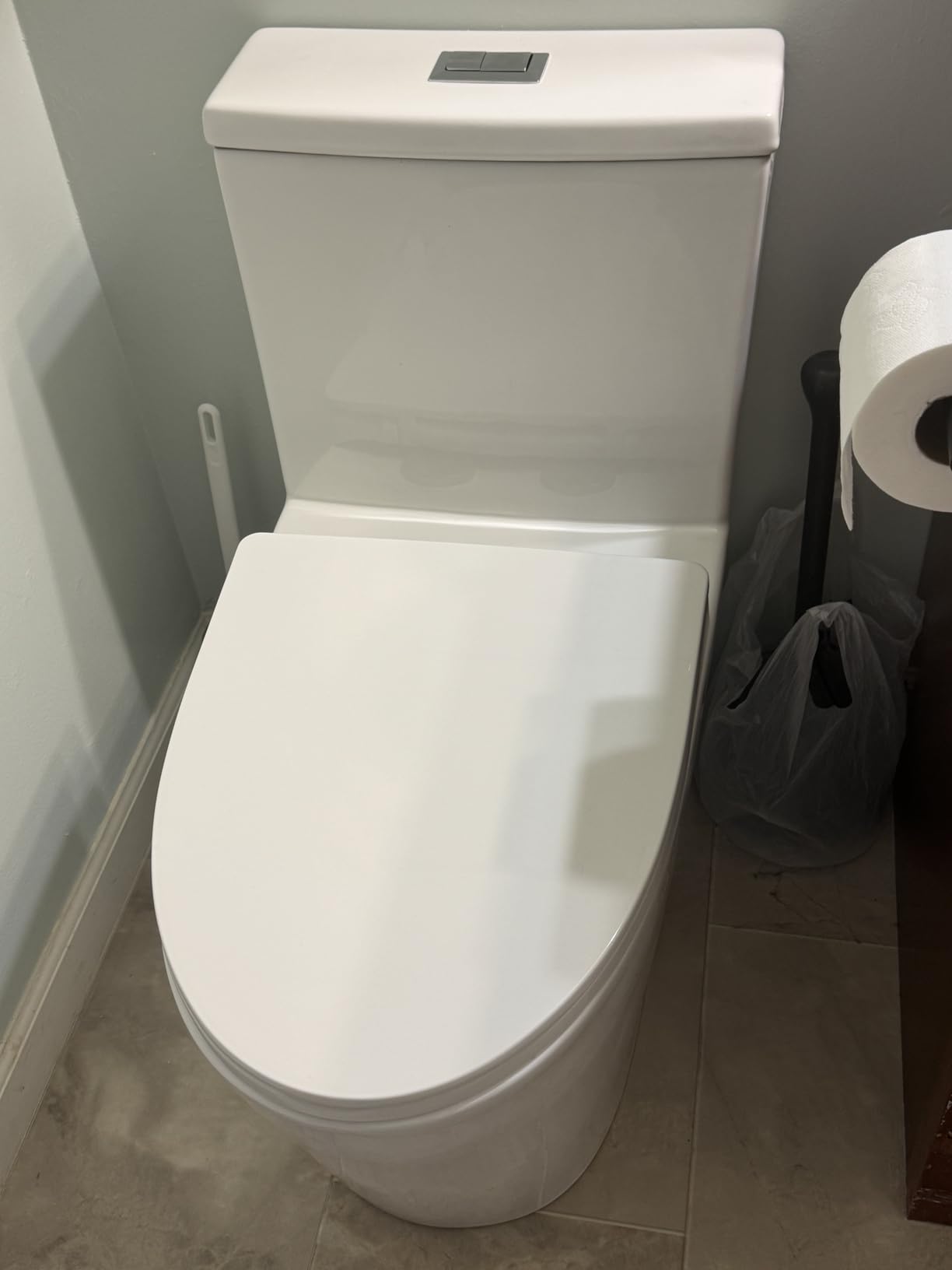 Casta Diva Elongated One Piece Toilet with 17