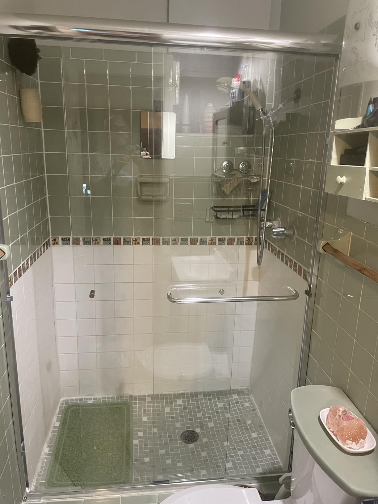 ELEGANT Double Sliding Shower Door 56-60