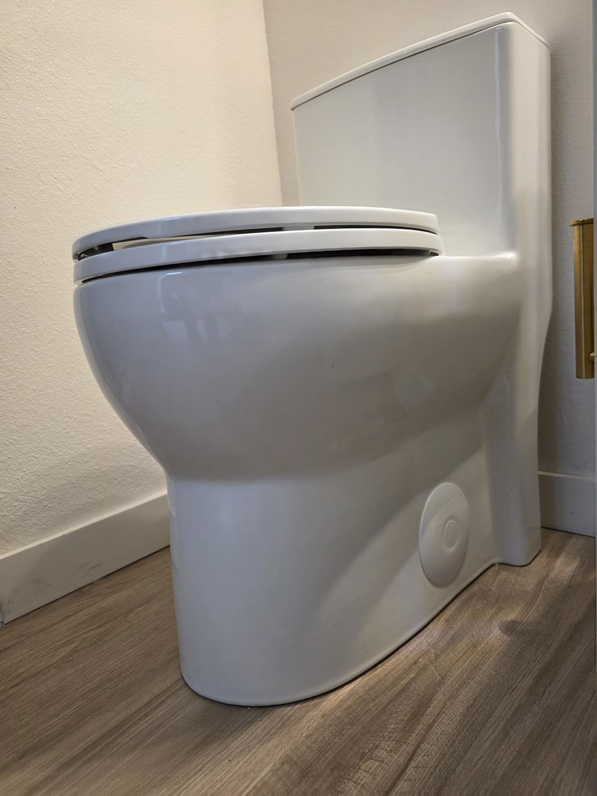 Elongated Modern Tall Toilet 19 Inch for Seniors, Powerful Tornado Flush Skirted High Toilet for Bathroom, One Piece Water Saving Dual Flush 1.0/1.28 GPF, Comfort ADA Bowl Heigh 18.3 Inch, White customer photo 1