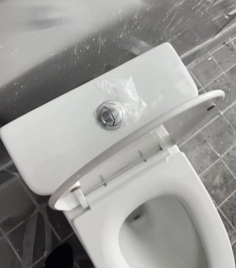 Casta Diva Elongated One Piece Toilet with 17.5